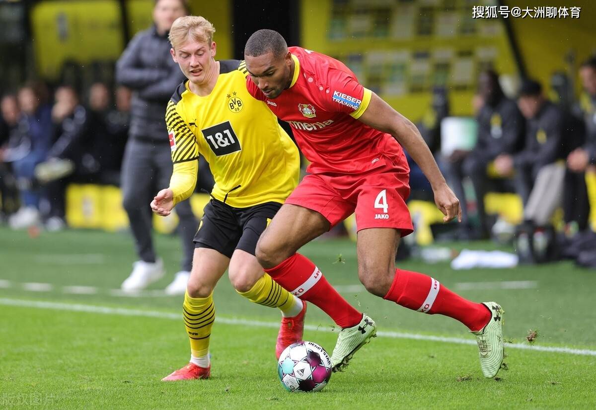 九游体育官方网站- 山东泰山队新外援浮出水面 