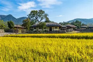 官网入口-关于费耶诺德加时末段门线救险集结日斯图加特门线救险，网友：凯恩在皇家马德里比赛中挺进下一轮的信息
